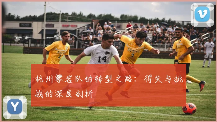 杭州攀岩队的转型之路：得失与挑战的深度剖析