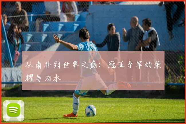 从南非到世界之巅：冠亚季军的荣耀与泪水